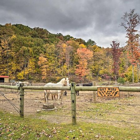 Bill Pickett Apt On 50-Acre Ranch - 1 Mi To Lake Huntingdon Exterior photo