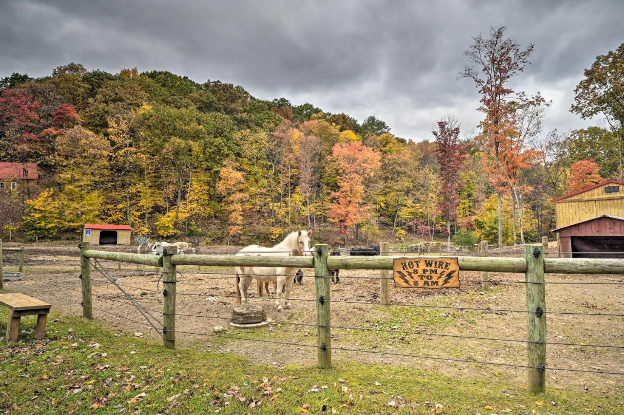 Bill Pickett Apt On 50-Acre Ranch - 1 Mi To Lake Villa Huntingdon Exterior photo