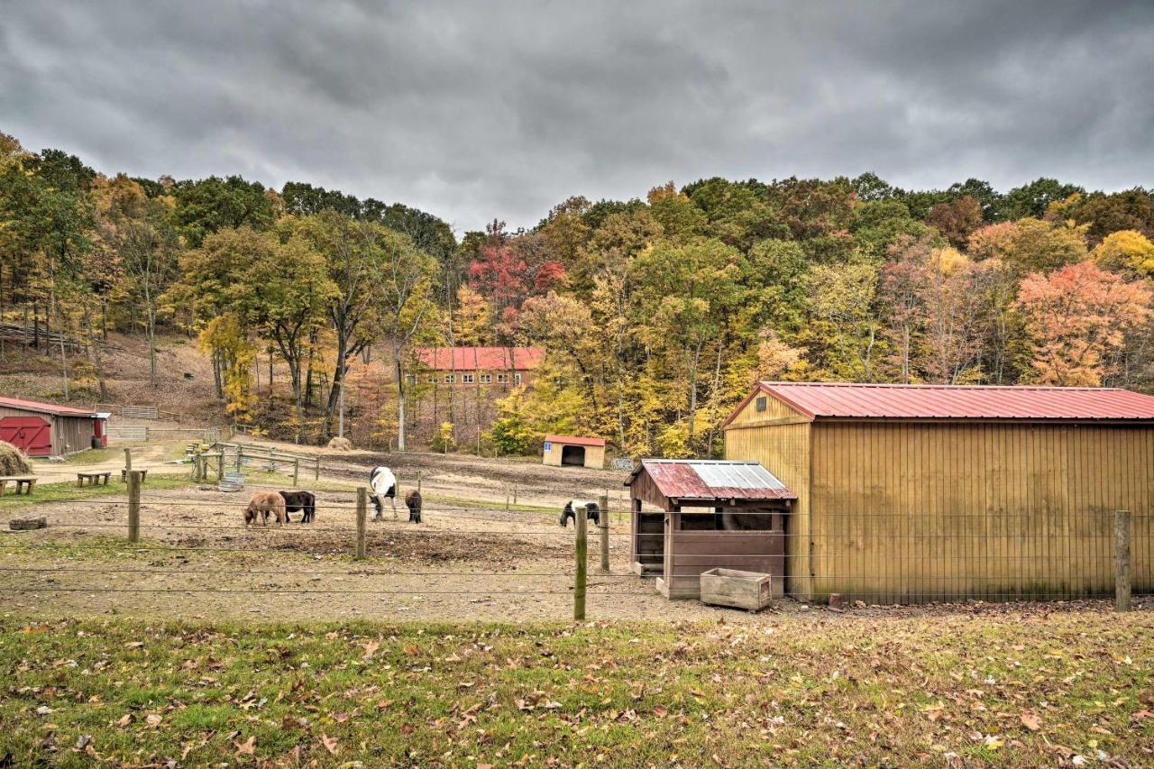 Bill Pickett Apt On 50-Acre Ranch - 1 Mi To Lake Villa Huntingdon Exterior photo