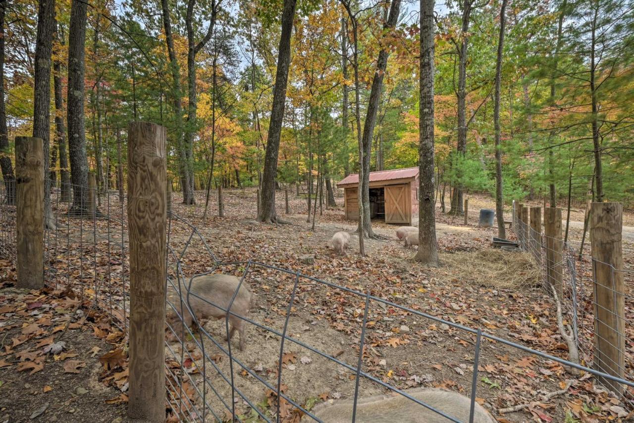 Bill Pickett Apt On 50-Acre Ranch - 1 Mi To Lake Huntingdon Exterior photo